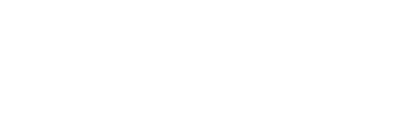 Nexus Power Logo